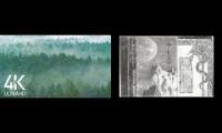 Thumbnail of A foggy dungeon synth kind of day