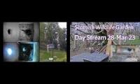 Thumbnail of Amazingearthanimalslivestream