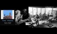 Thumbnail of The Trees Backing Track