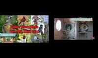 Thumbnail of Amazingearthanimalslivestream