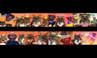 kotiynet all episode at once