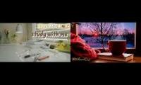 Thumbnail of Amazingearthanimalslivestream