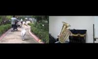 Thumbnail of Pelican with Brass Accompaniment