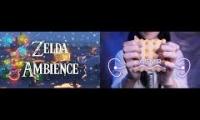 Asmr and botw mashup