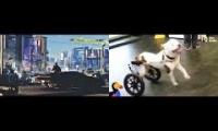 Thumbnail of Dog wheelchairs with music