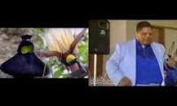 Thumbnail of Bird of Drum and Bass Paradise