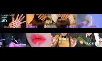 asmr with ppomo and other, eating sounds etc