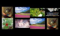 Thumbnail of Good morning makkala
