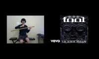 TOOL - The Pot (Katana Cover)