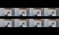 Thumbnail of Lucuduniakucukucinganjing