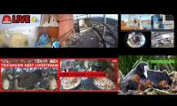Thumbnail of Amazingearthanimalslivestream