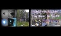 Amazingearthanimalslivestream