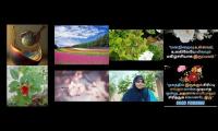 Thumbnail of Good morning makkala