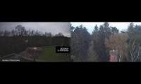 Thumbnail of Amazingearthanimalslivestream