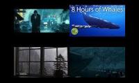 Thumbnail of melancholic sounds to sleep/ study to