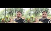 Thumbnail of 3 Days Tour End - Vaalparai