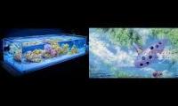 Reef Tank Setup with Zelda OOT Orchestra
