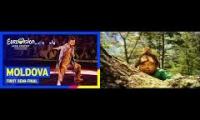 Thumbnail of moldova eurovision song vs flute tune