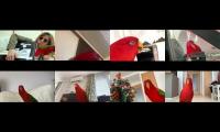 Red Birb GUMI Squealing Mashup 2