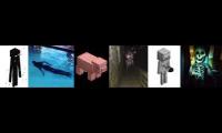 The Minecraft Cursed Images
