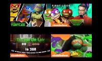 Leonardo Michelangelo Raphael Donatello | TMNT (Teenage Mutant Ninja Turtles): Part 2