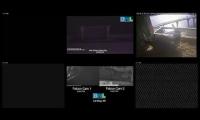 Thumbnail of Amazingearthanimalslivestream