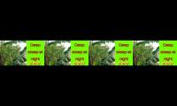 Thumbnail of Increase watch hours