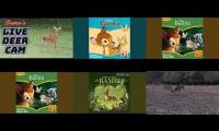 Thumbnail of LIVE Deer Cam + Bambi (Disney Storyteller)