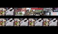 Thumbnail of Lalukhet sunday Birds Market update