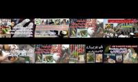 Thumbnail of LALUKHET SUNDAY BIRDS MARKET, HOW TO FEED BIRDS ON HAND FEED, BIRDS EXPO