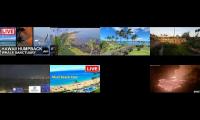 Maui Island Hawaii Youtube live webcams