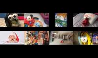 8 B Specks Destruction Videos At The Same Time