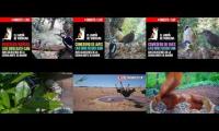 Thumbnail of Amazingearthanimalslivestream