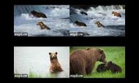 Brooks Falls Bear Cams 2023