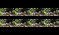 Thumbnail of Calm the soul with the relaxing sound of calm running water [Study, focus, Deep sleep, ASMR]