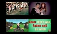 Gangnam Style Mashup