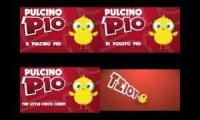 4 pollito pios-pulcino pio