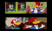 El pajaro loco 4parison