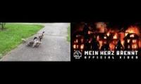 Thumbnail of Rammstein und Ente pp rein