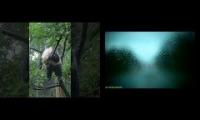 Thumbnail of Panda hanging in the rain with Stan intro playing