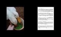 Thumbnail of Duck Chopin Duck Chopin