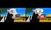 La Vaca Lola LollyBob