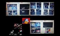 Thumbnail of 4x4x4x4 09Mix Side-by-Side Annoying Goose Teraparison 1
