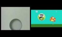 BИD vs. PBS Kids Birdhouse ID