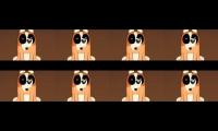 The Roscoe McGillicuddy/Bluey Hour