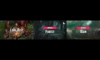 Thumbnail of Long Rest Rainy Forest Ambient Sounds D&D