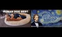 Thumbnail of Freakin Reviews Chopin