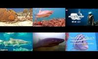 Thumbnail of Underwater live cams