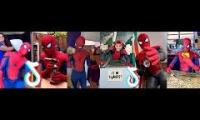 2 Spider Slack Videos
