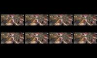 Thumbnail of Zombies Killer New Survivols video